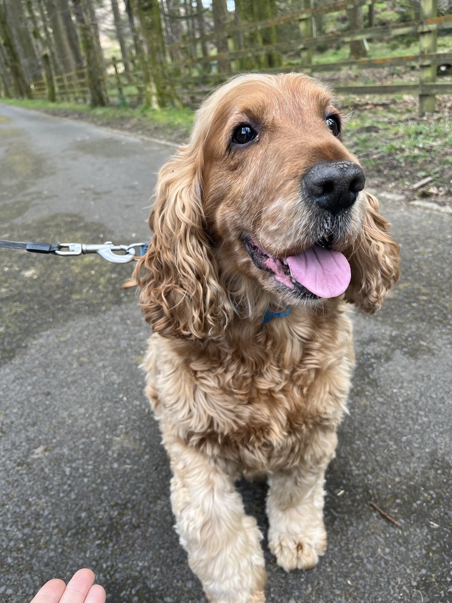 Wendy Penman tweet media