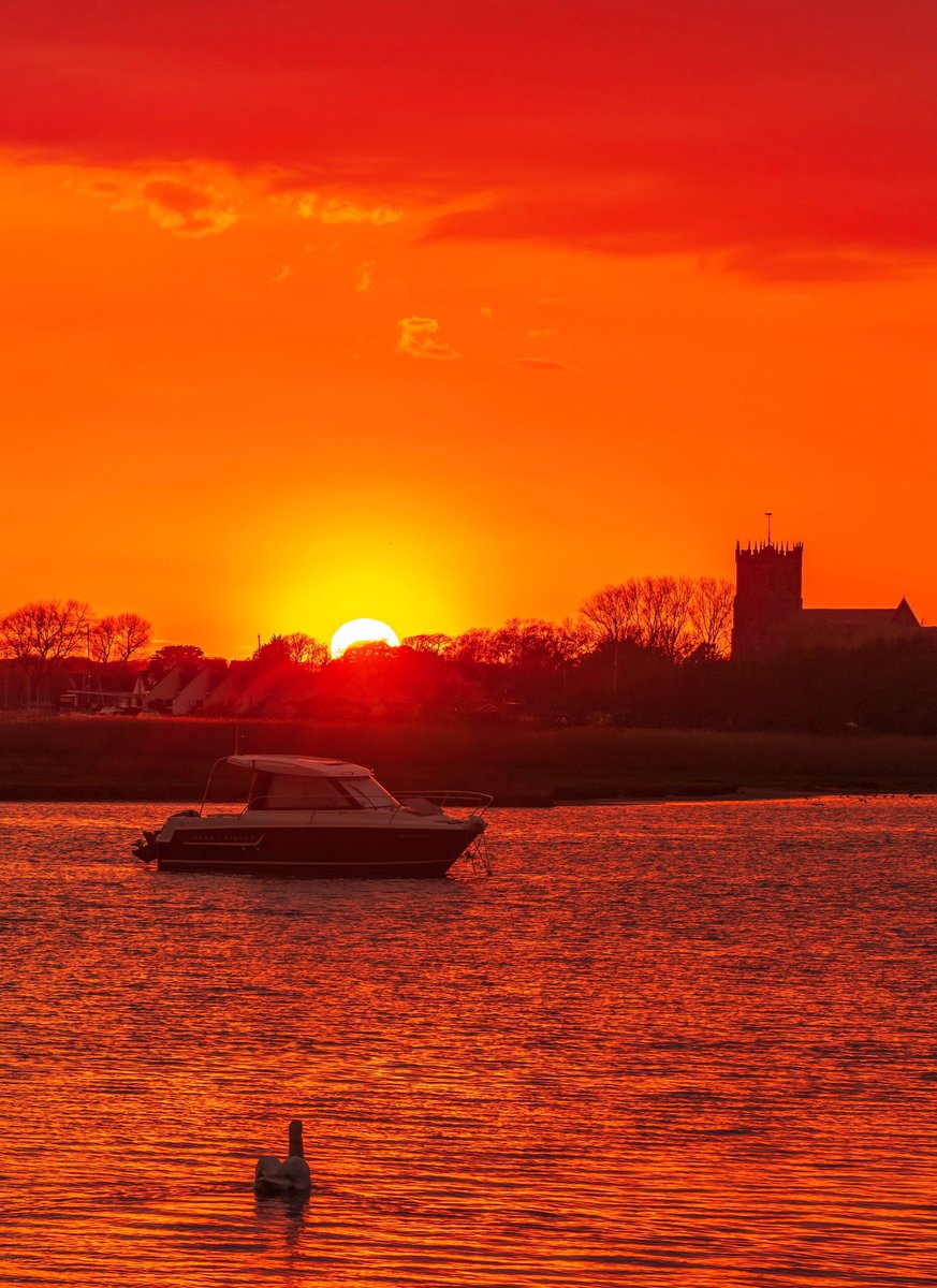 steven hogan tweet media