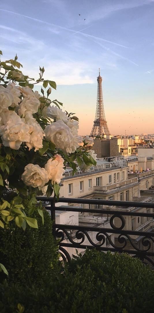 shewearprada's tweet photo. Paris and sunset. https://t.co/Md9xZEmdeJ