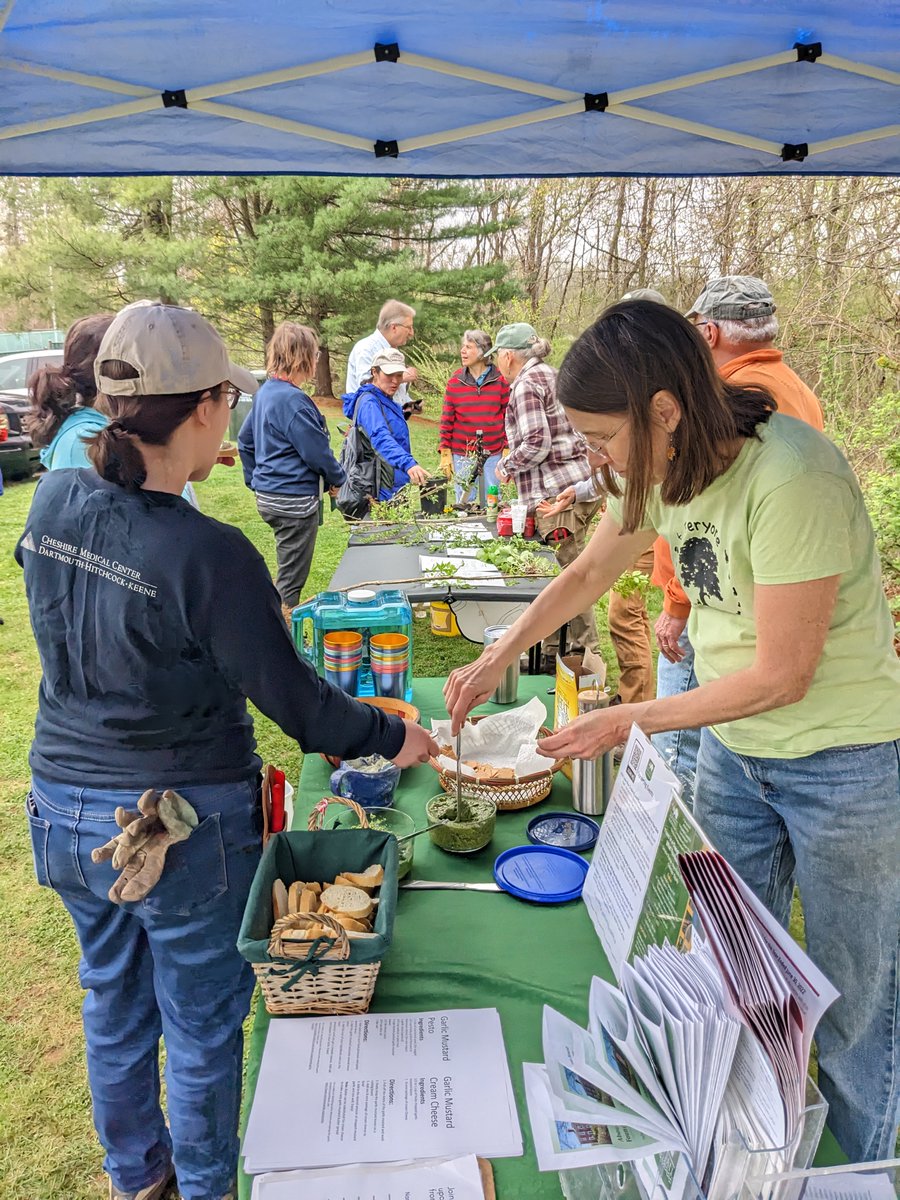 The Rockfall Foundation tweet media