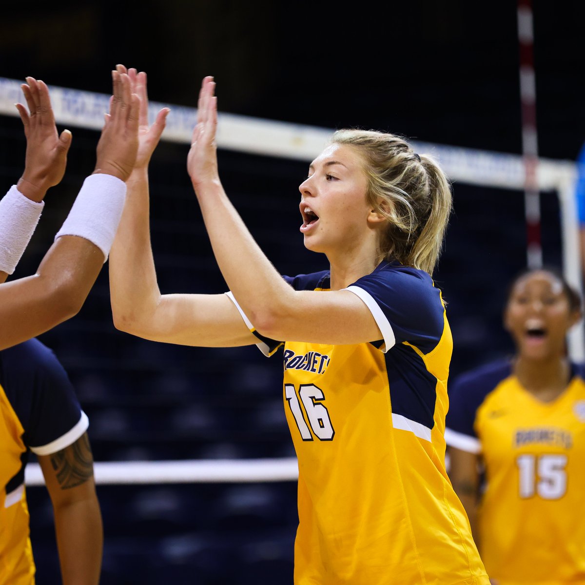 Toledo Volleyball tweet media