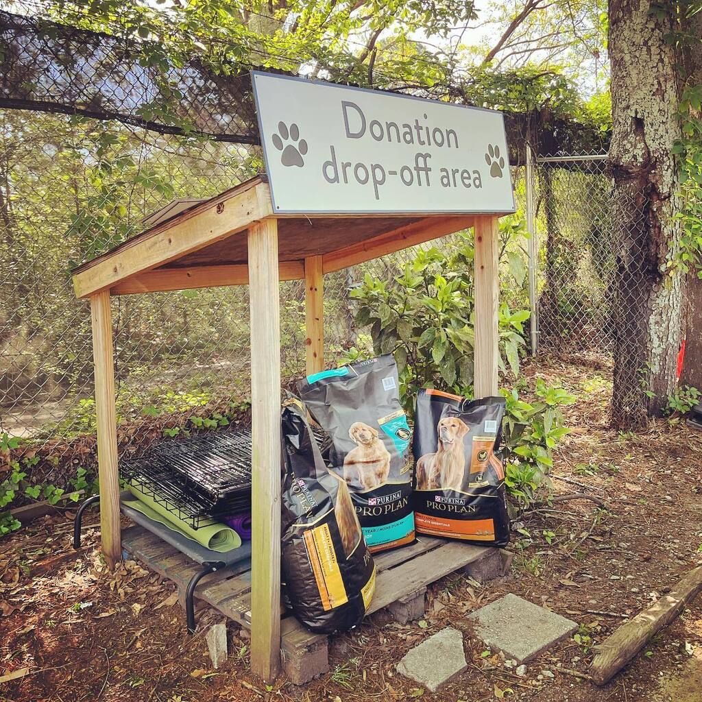 IronRootStudio's tweet photo. Looking to help out your local animal shelter? @pawsatlanta always needs lots o’ newspapers for their fur babies. The donation center is just outside the gate, so you can drop stuff off at any time. Let’s go! 😺❤️🐶 #adoptdontshop #pawsatlanta #dogood … https://t.co/dglOa2JAjp https://t.co/py7X7HjhY4