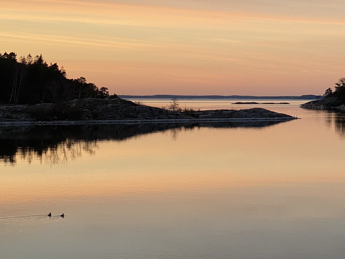 this_healing's tweet photo. Something in the colors reminds me of six of swords 🗡️ in the animal deck. Hoping not having to tell the Universe STOP IT soon. In the lower left corner a pair of coots taking a banging break!. Love how this view always changes though. @sexysoultribe @StevesLoveTarot https://t.co/n8GdPIQR0d