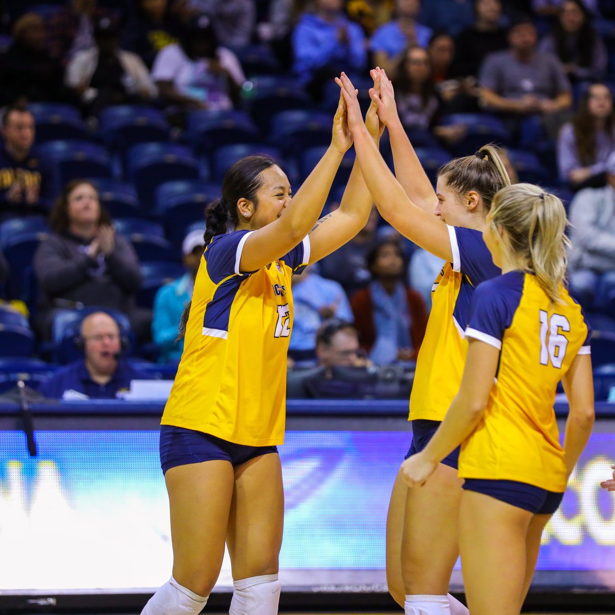 Toledo Volleyball tweet media