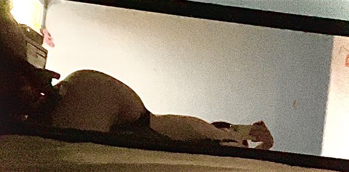 Have you seen the latest video I sent ?? 🫦💦   #420day #BOYSPLANETfinal #sidangisbat #fearwomen #onlyfans<a href="/tag/420day"class="tags">#420day</a><a href="/tag/onlyfans"class="tags"><span>#onlyfans</span></a><a href="/tag/onlyfansmodel"class="tags"><span>#onlyfansmodel</span></a><a href="/tag/onlyfanscontent"class="tags"><span>#onlyfanscontent</span></a><a href="/tag/onlyfanspromo"class="tags"><span>#onlyfanspromo</span></a>