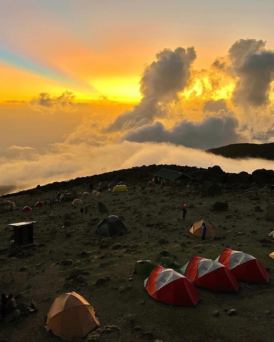 tara_noss's tweet photo. 50 days until Nic and I head off to climb Mount Kilimanjaro!!!! It’s coming around super quickly! Please please please donate if you can we are doing this for @DementiaUK and @LaybosLegacy 

https://t.co/6RdWIW0efe

Thank you so so much xxxx https://t.co/s0G3dRorsG