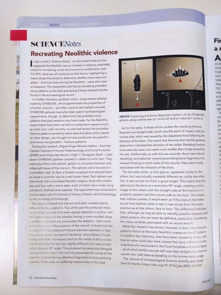 Miguel_preh's tweet image. "Look mom! I'm in a magazine!" Well, not me, but my last paper about #Neolithic violence 😜. Thanks to @CurrentArchaeo for the note and for the copy. I really appreciate it. #CurrentArchaeology #ScienceNotes #ExperimentalBioarchaeology