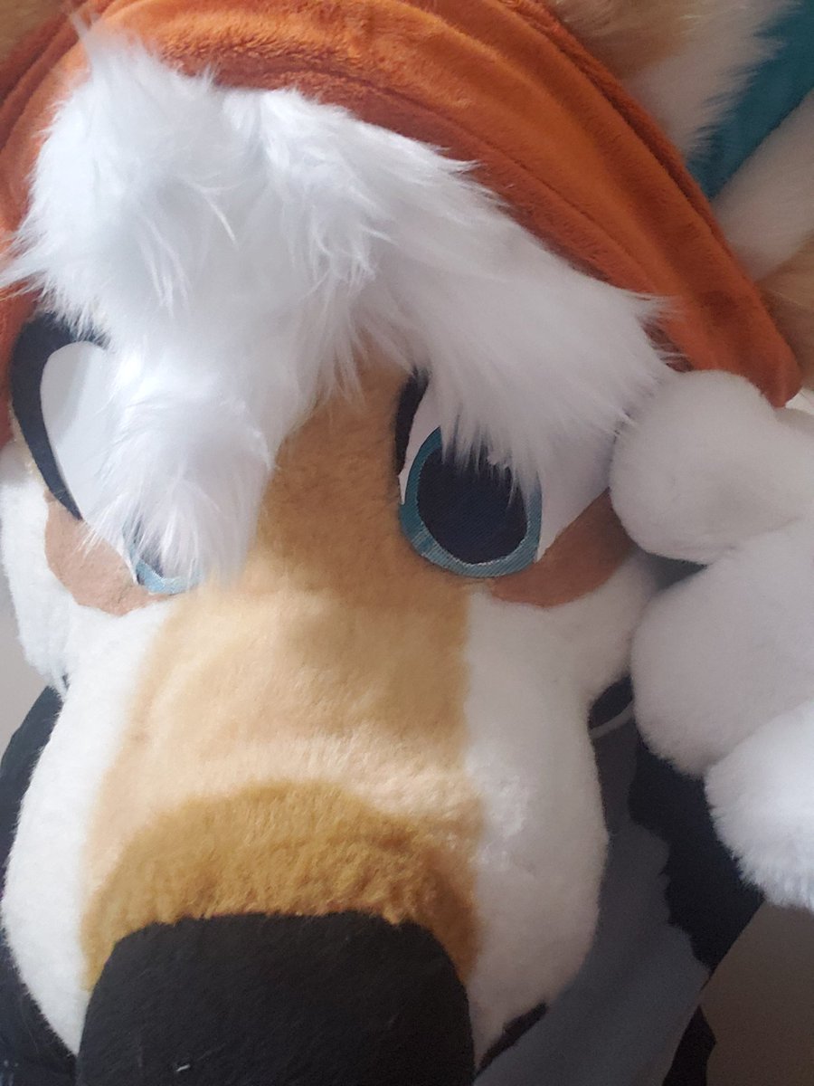 ShibKeebs1's tweet photo. One of my personal favorites once I added the hair tuft to Keebs head. https://t.co/2K1kjvUP5k