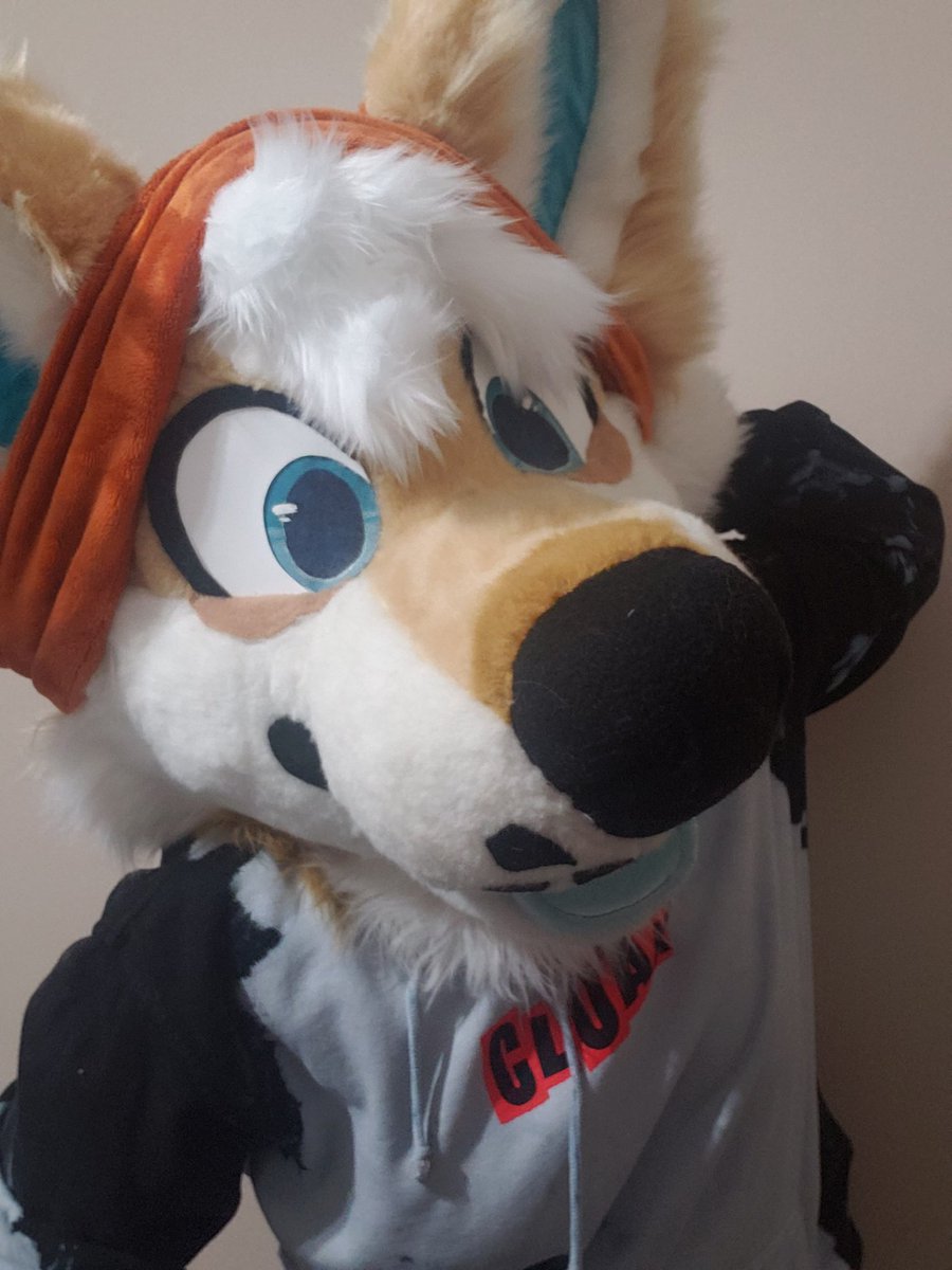 ShibKeebs1's tweet photo. One of my personal favorites once I added the hair tuft to Keebs head. https://t.co/2K1kjvUP5k