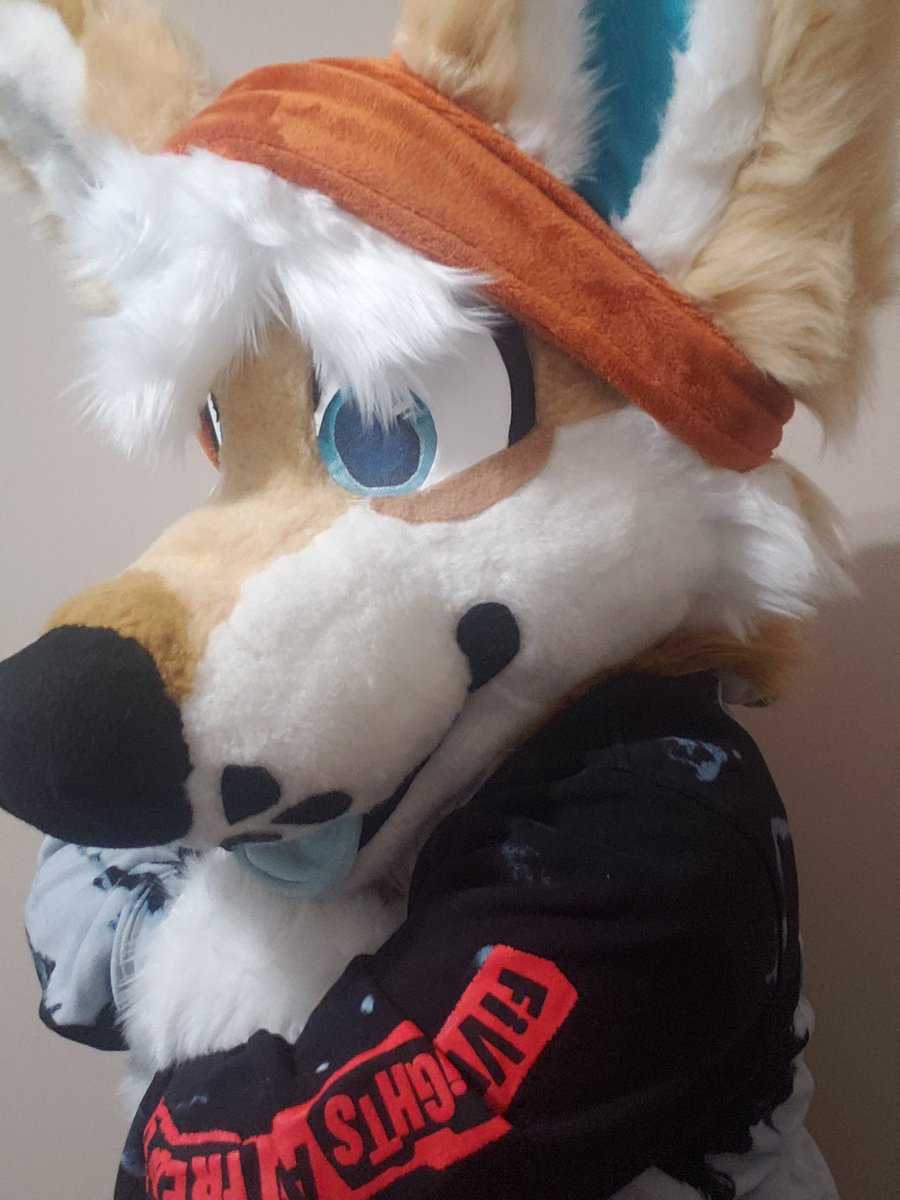 ShibKeebs1's tweet photo. One of my personal favorites once I added the hair tuft to Keebs head. https://t.co/2K1kjvUP5k
