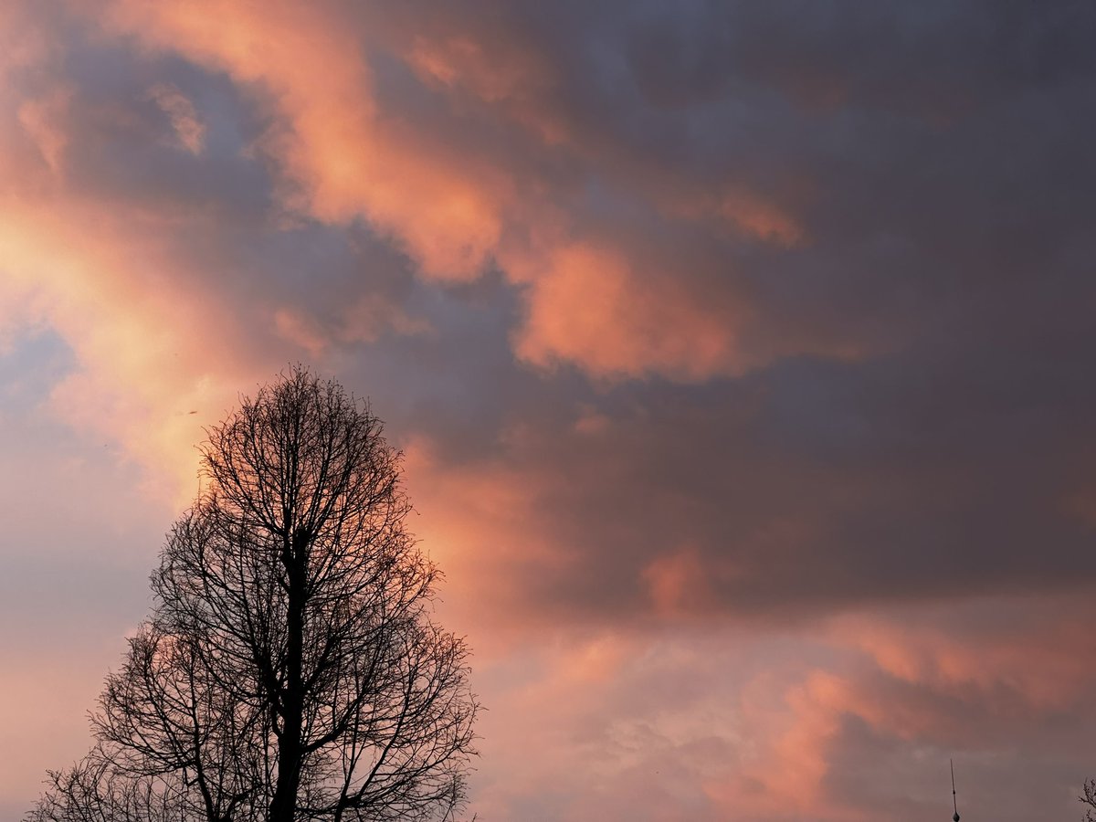 yorick van Wageningen tweet media