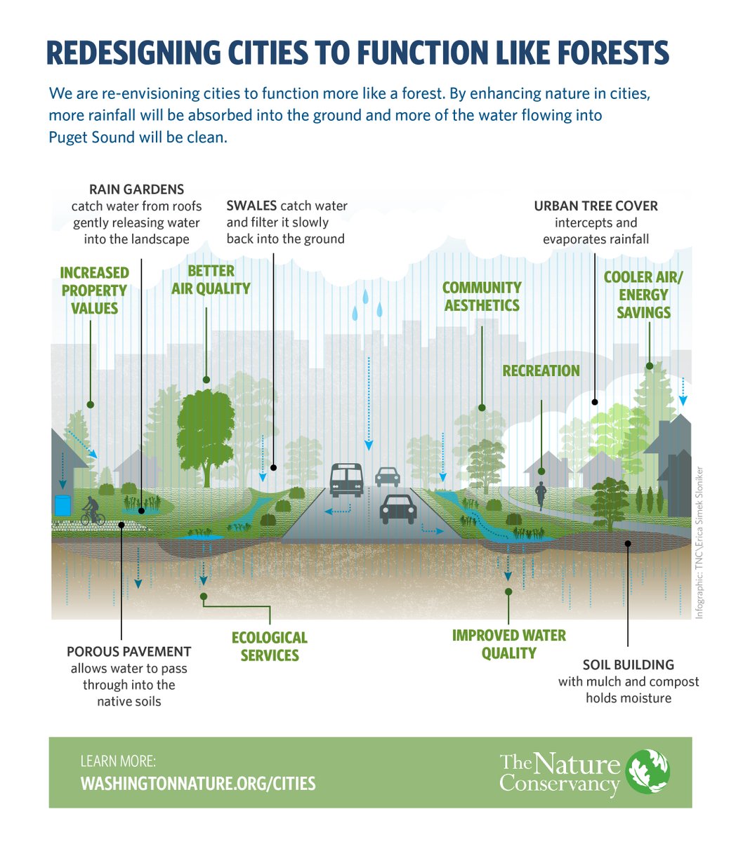 What does a city functioning like a forest look like? 🌲Find out ⬇️

Via The Nature Conservancy