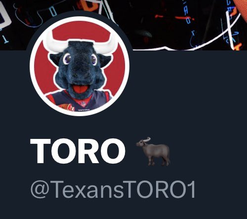 TORO 🐃 tweet media
