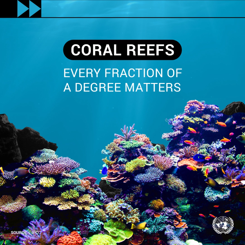 antonioguterres's tweet photo. Around 90% of the energy trapped in the climate system by greenhouse gases goes into the ocean, posing risks to marine ecosystems.

#ClimateAction is not happening fast enough.