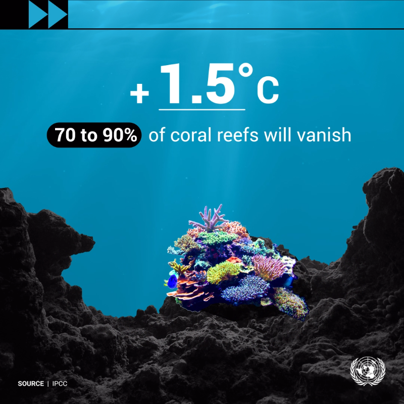 antonioguterres's tweet photo. Around 90% of the energy trapped in the climate system by greenhouse gases goes into the ocean, posing risks to marine ecosystems.

#ClimateAction is not happening fast enough.
