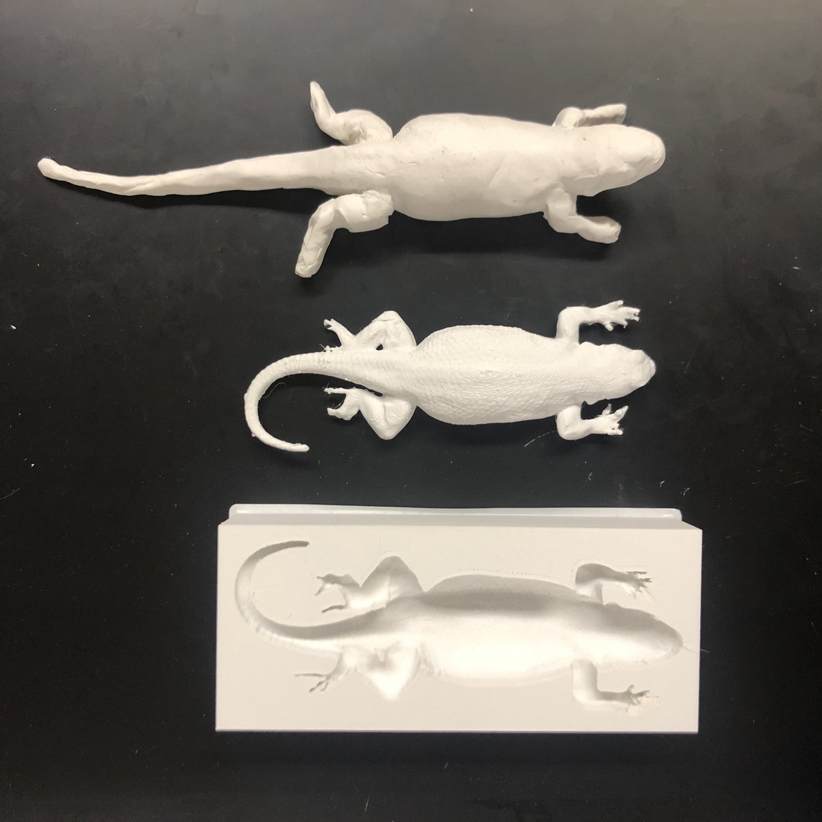 The BREE Lab is collaborating w/ the InnovationLab at the @CSUSBlibrary to 3D print molds for clay lizard models!! We will use these to study predation risk in recently burned areas 🔥🦎. I’m so thrilled with how they turned out!!! #SummerResearch #Herpetology