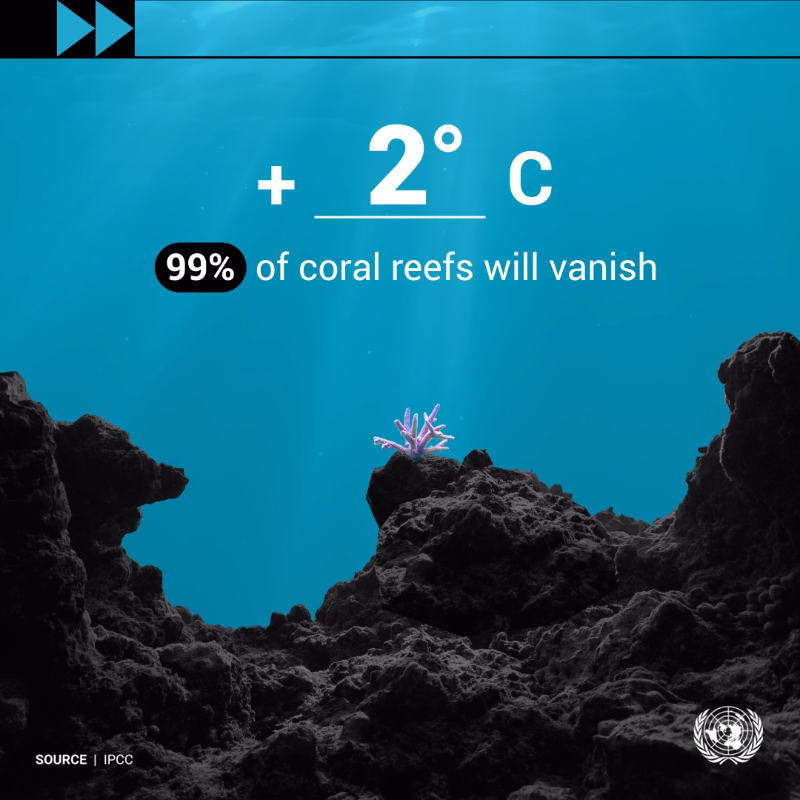 antonioguterres's tweet photo. Around 90% of the energy trapped in the climate system by greenhouse gases goes into the ocean, posing risks to marine ecosystems.

#ClimateAction is not happening fast enough.
