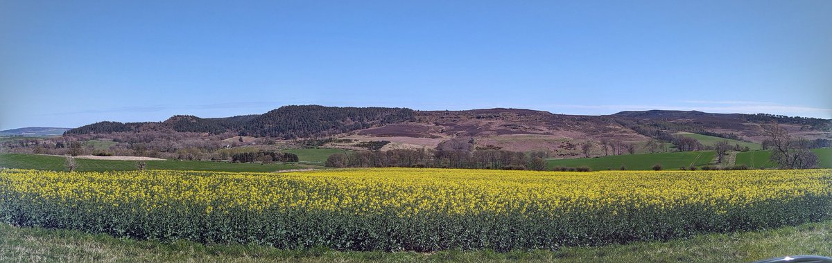 lwhemmings's tweet photo. 2 types of priority habitat, side by side: which is the priority? https://t.co/5qvUFArgXf