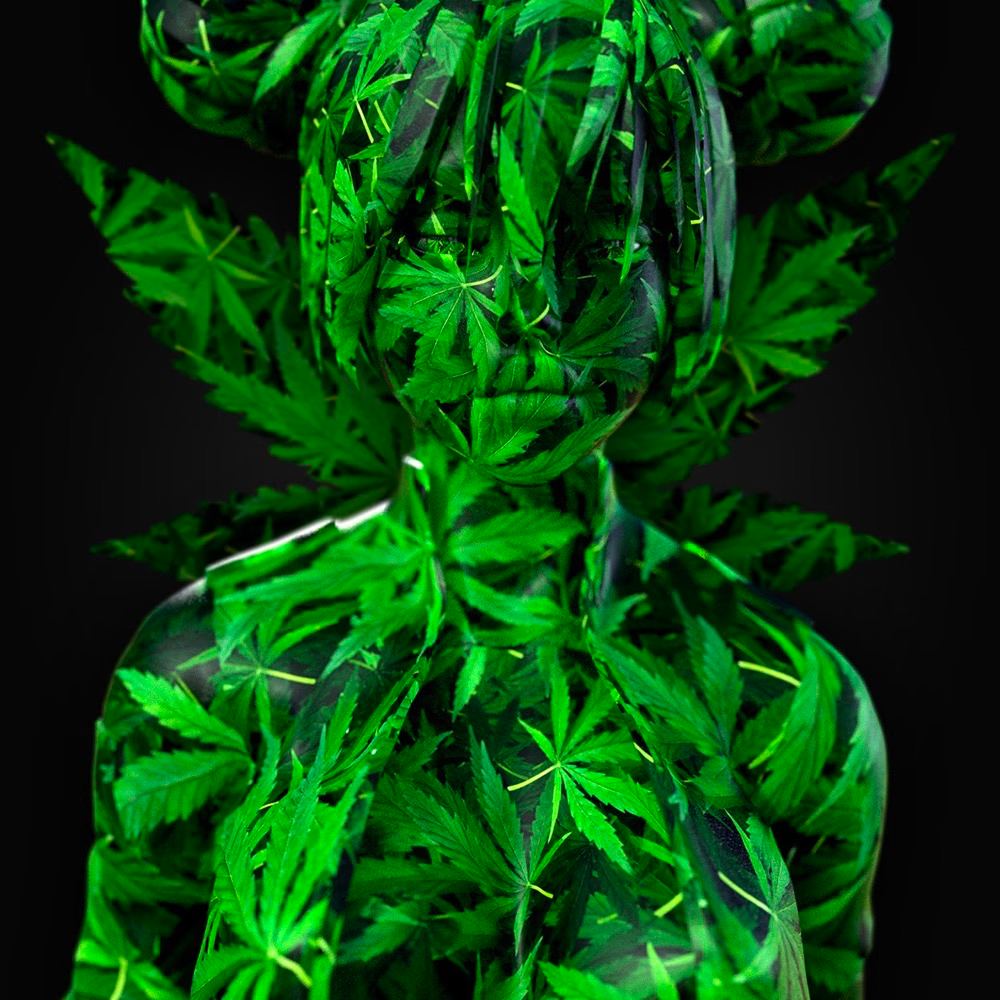 MollyNFT tweet media