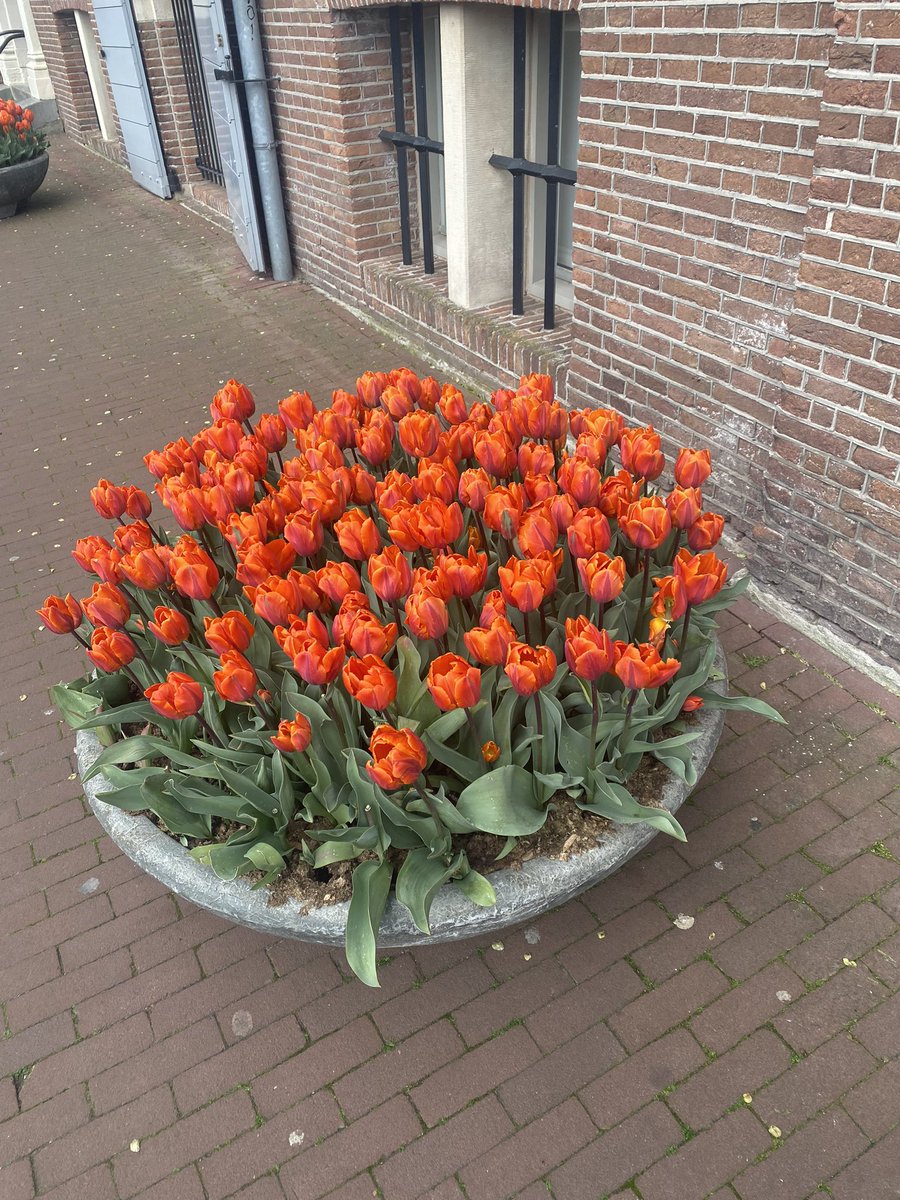 FrancesLanitou's tweet photo. #DutchDays Celebrating the opening of the Dutch Asparagus Season in #AmazingAmsterdam. Thank you to our host Emiel de Sévrèn Jacquet @Consulukr Honorary Consul of Ukraine in the Kingdom of the Netherlands for this wonderful reception at #TheHermitage https://t.co/1bFnCJ1yhs