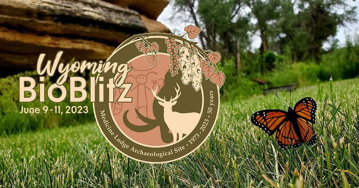 WyoBio's tweet photo. We are excited to announce that you can now register for the Wyoming BioBlitz 2023, held on June 9–11 at Medicine Lodge Archaeological Site! Join us for three days of exploring nature and celebrating biodiversity at one of Wyoming’s most stunning and historic state parks. 🎇🌱 https://t.co/kp3aCf3dpW