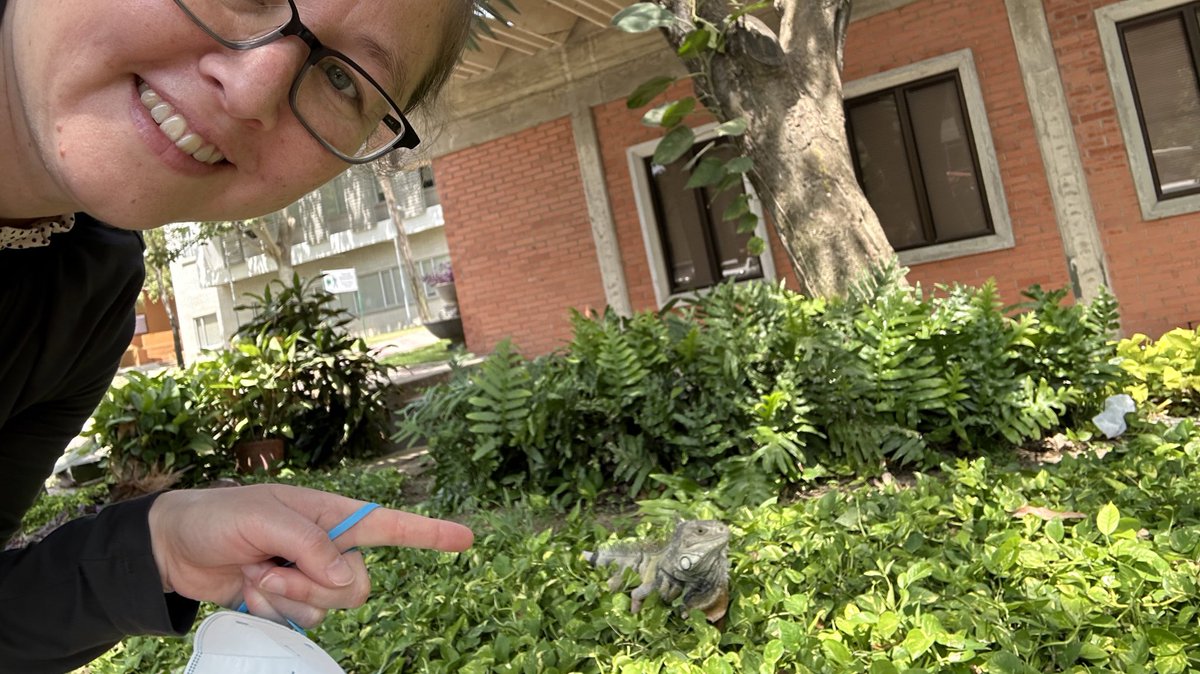 Erika Frydenlund (@erikafrydenlund) on Twitter photo Glamor shots with one of the unofficial mascots of <a href="/UninorteCO/">Universidad del Norte</a> outside our research partners’ building 🇨🇴 🦎 (while the lady behind me was like: run!!! 🏃🏼♀️) #justALittleCloser #justSnackingOnLeaves #youreInMyLight Glamor shots with one of the unofficial mascots of <a href="/UninorteCO/">Universidad del Norte</a> outside our research partners’ building 🇨🇴 🦎 (while the lady behind me was like: run!!! 🏃🏼♀️) #justALittleCloser #justSnackingOnLeaves #youreInMyLight