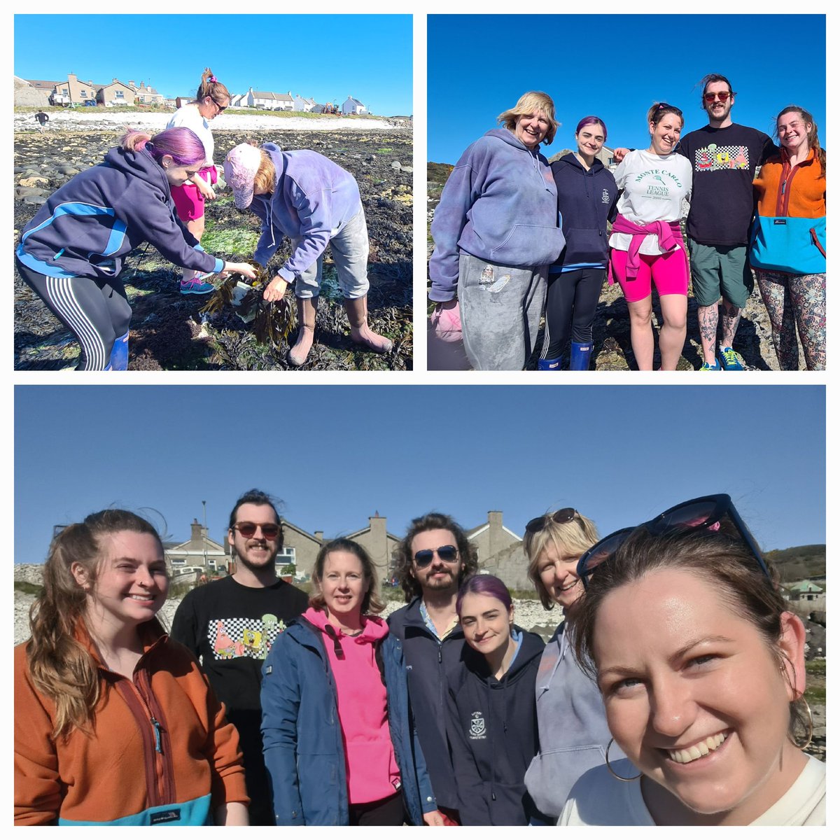 Seaweed foraging fun (with some learning) ! 
Come forage with me!