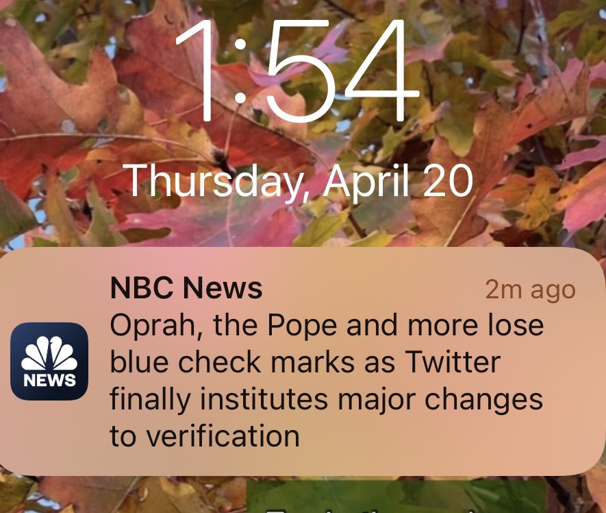 So this is what we’re calling news, now. Got it.
