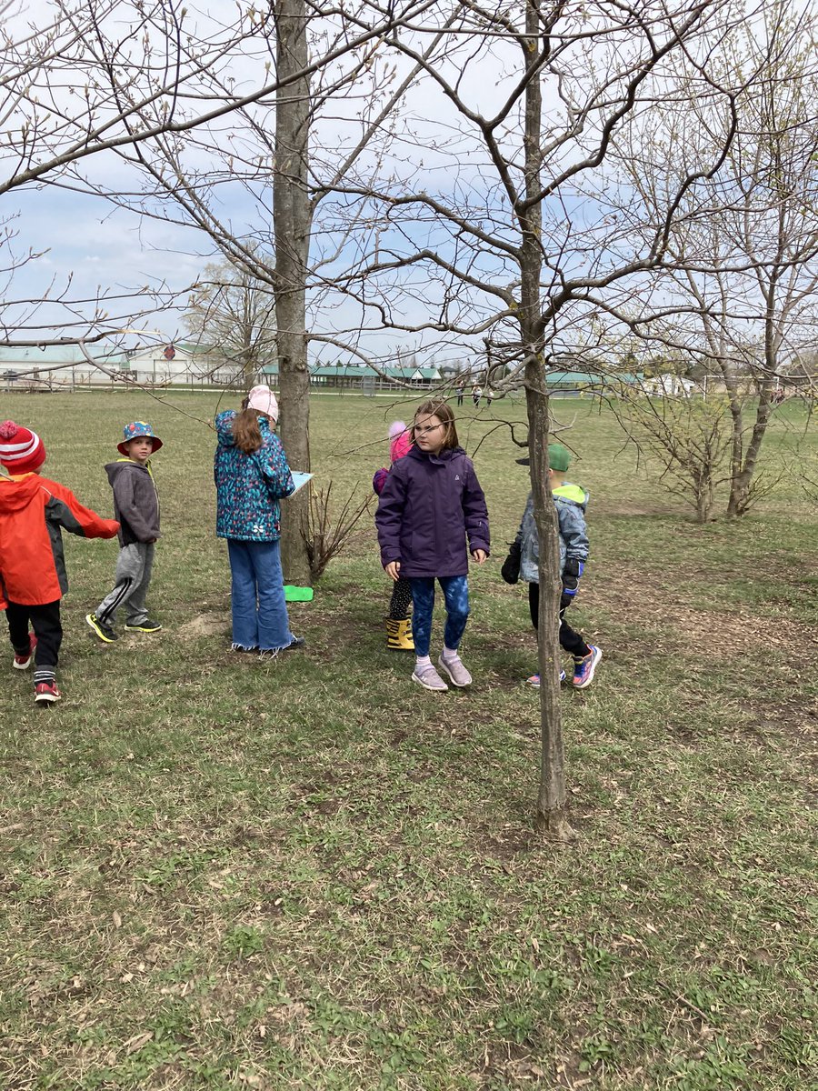 RegierReport's tweet photo. Enjoying an Earth Day scavenger hunt with our buddies! @SeaforthPublic @yourschools https://t.co/mI1BTam8qy