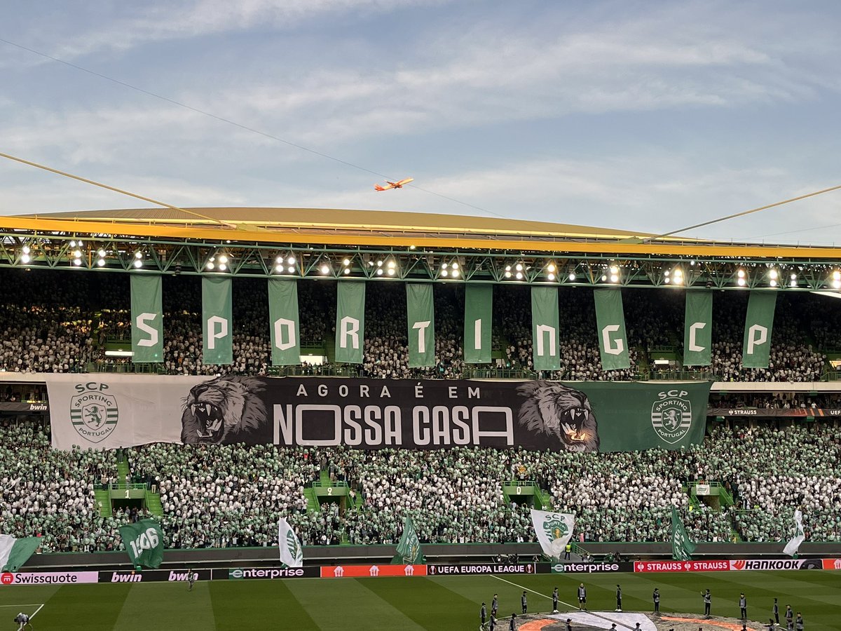 Este ambiente 💚