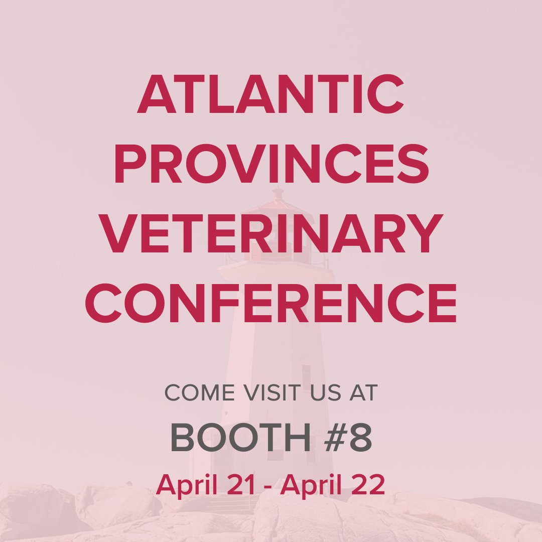 Modern_Vet's tweet photo. We are excited to be attending the Atlantic Provinces Veterinary Conference! Can’t wait to connect with veterinary professionals and share our newest products! Who else is attending? See you there!
#apvc2023 https://t.co/s10Cflv38F