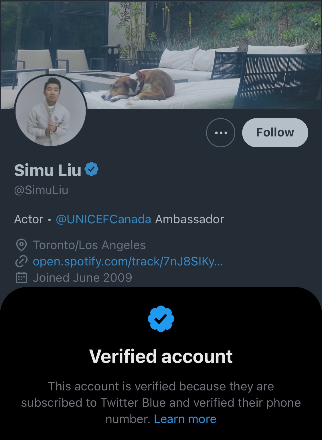John DiLillo on X: these are literally the only celebrities I can find who  are paying for twitter. please feel free to submit any others you may  discover t.cohfr2HDopUB  X