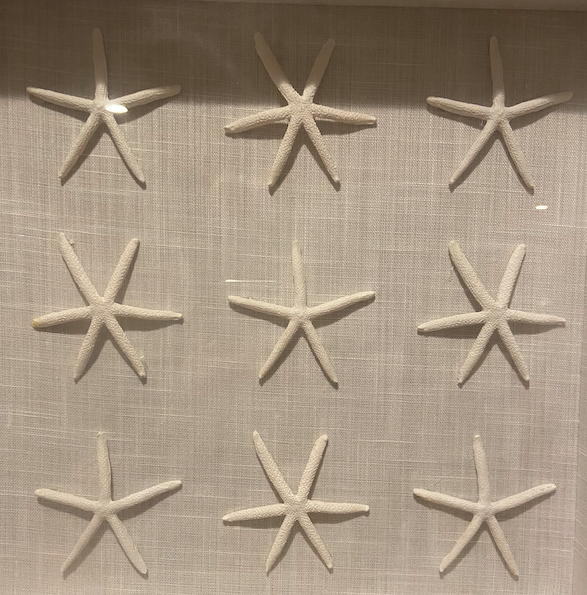 MathforLove's tweet photo. I was updating the #PatternBreakers section of the #MathforLove website and found this fun #unitchat #howmany photo I took a long time ago!

How many do you see? https://t.co/SA2qkjAFQr