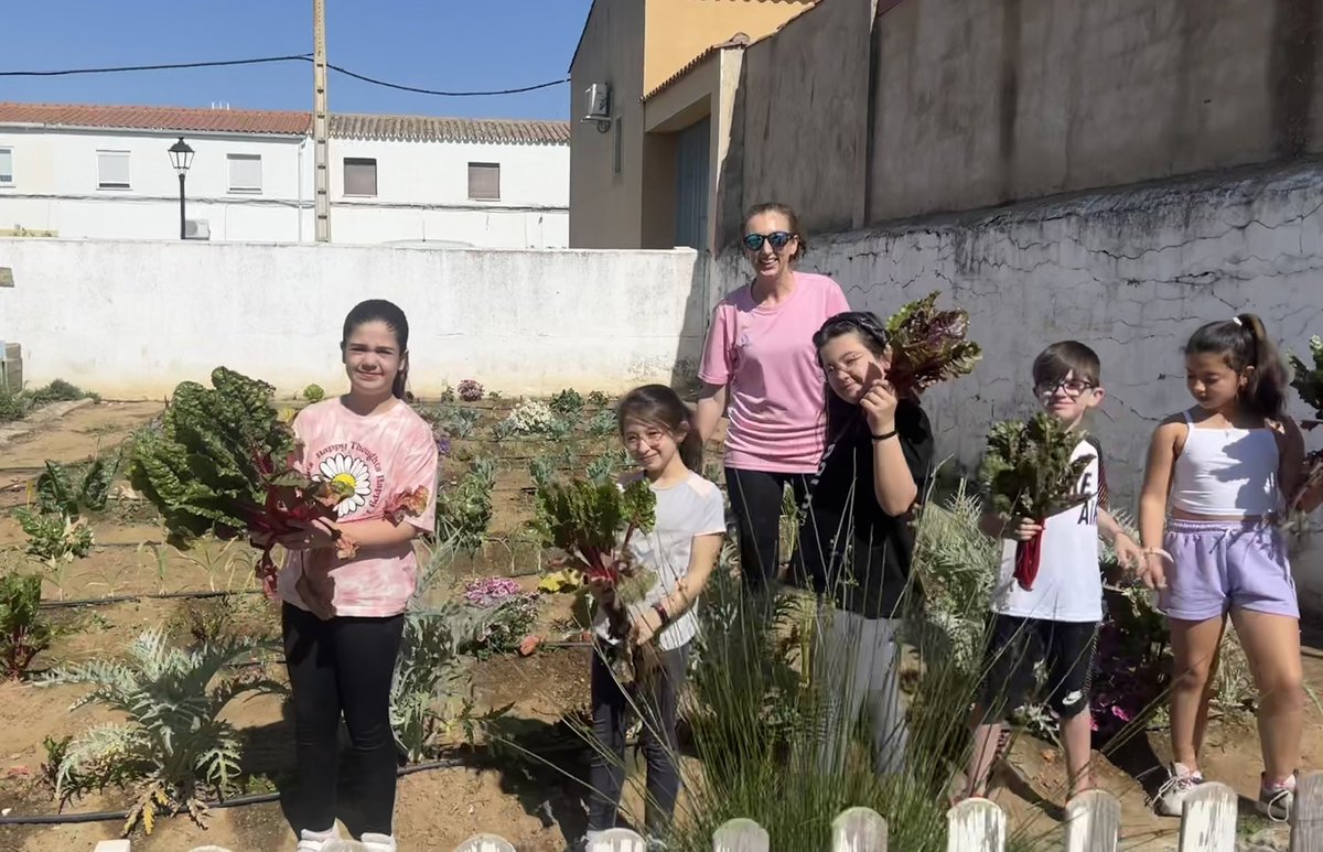 saludtorvis's tweet photo. ¡A la rica acelga! Seguimos trabajando en el huerto y recogiendo sus frutos. No nos hacen mucha gracia las 🥬🥦🥒pero con ajito y en tortilla ¡qué ricas!!! 😋 Todo el proceso en…https://t.co/K6ctBMXwrN @CulEmprendedora @CPRdbv #InnovaEx22_23 https://t.co/0iBsgzrGtZ