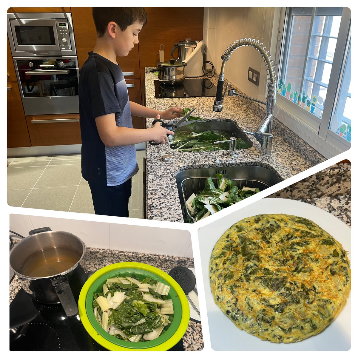 saludtorvis's tweet photo. ¡A la rica acelga! Seguimos trabajando en el huerto y recogiendo sus frutos. No nos hacen mucha gracia las 🥬🥦🥒pero con ajito y en tortilla ¡qué ricas!!! 😋 Todo el proceso en…https://t.co/K6ctBMXwrN @CulEmprendedora @CPRdbv #InnovaEx22_23 https://t.co/0iBsgzrGtZ