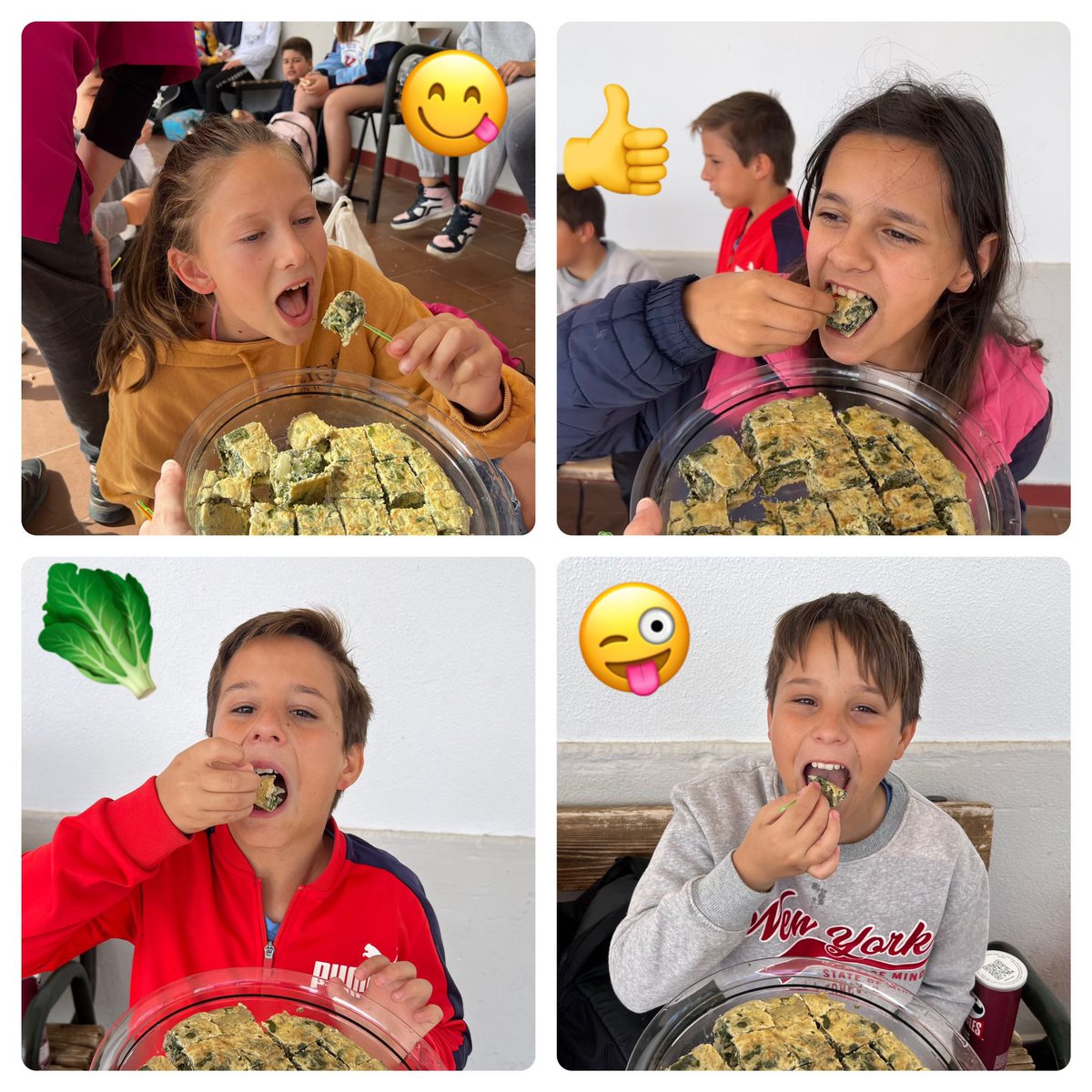 saludtorvis's tweet photo. ¡A la rica acelga! Seguimos trabajando en el huerto y recogiendo sus frutos. No nos hacen mucha gracia las 🥬🥦🥒pero con ajito y en tortilla ¡qué ricas!!! 😋 Todo el proceso en…https://t.co/K6ctBMXwrN @CulEmprendedora @CPRdbv #InnovaEx22_23 https://t.co/0iBsgzrGtZ