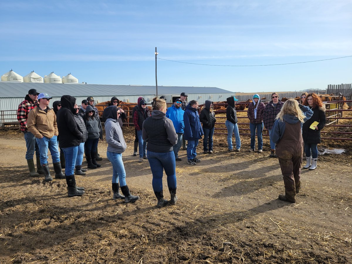 AgAssiniboine's tweet photo. 🚌 Field Trip 🚌 Our 2nd year Agriculture students took a trip to @RookeFarms to tour a beef operation with commercial and pure-bred cattle that does everything from cow/calf to finishing. Thanks for hosting our students!

#learnbydoing #accmb #mbagcollege https://t.co/awNrNIrmZ9