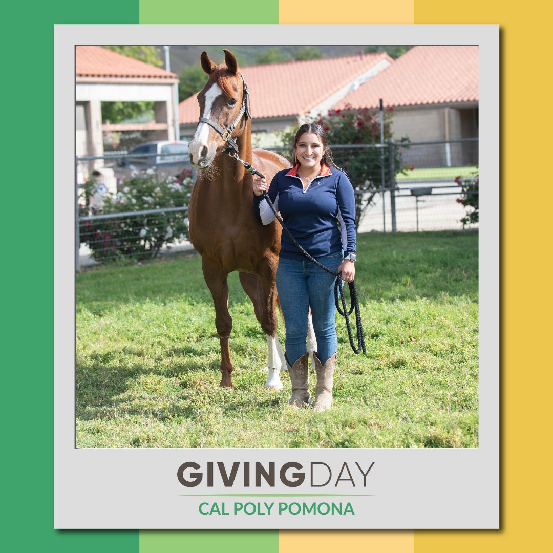 calpolypomona's tweet photo. This #CPPGivingDay--and every day--your support makes a difference for students and the programs they care about, including:
 
💛 Undocumented Students Services
💚 Alumni Scholars
💛 W.K Kellogg Arabian Horse Center
💚 Music Department
And many more!

https://t.co/5DjBM8dMZf https://t.co/10WMCYXCvT