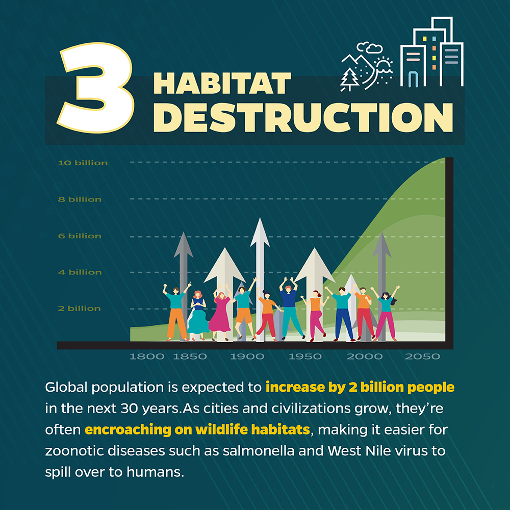 ProjectHealings's tweet photo. 🔈We must learn from recent pandemics as future outbreaks are likely. With rising temperatures, population growth, and increased travel, we need to improve disease surveillance, vaccine development, and more. Schedule a vaccination today at https://t.co/e6kMsnwGQI.
#StaySafeMN https://t.co/9RDQA45mL5