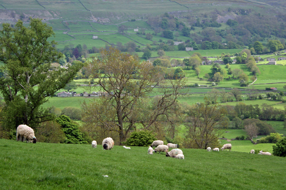 Country Hideaways tweet media