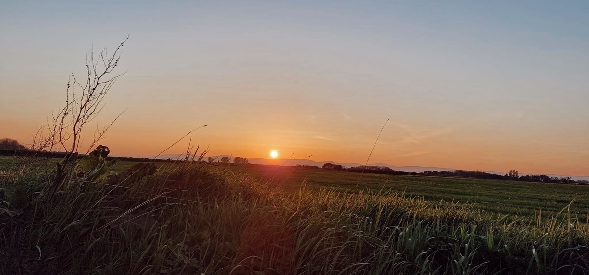 broightergold's tweet photo. 𝔼𝕧𝕖𝕟𝕚𝕟𝕘𝕤 𝕝𝕚𝕜𝕖 𝕥𝕙𝕖𝕤𝕖🥰🫶
The summer sunsets we longed for are finally back, and here too stay we hope🌻🤞
#sunset #makingmemories #oilseedinbloom #localproduce #supportlocal #broightergold #rapeseedoil #broglascofarm #zerofoodmiles #GMfree #coldpressed https://t.co/2gcGJl8wsZ