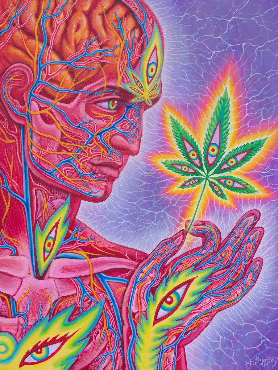 Happy 4/20!

Seven Lights of Cannabis Wisdom:
1. THE LIGHT OF UTILITY
Cannabis is nature’s most useful plant, providing hemp fibers for clothing, rope, hemp paper, hemp oil...

More on IG: buff.ly/3EVwYsQ

Cannabacchus 
Cannabis Sutra
Cannafist