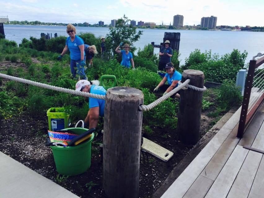 scriverstewards's tweet photo. Help care for the native plants of the Blue Water River Walk! One of our longest-running eco-stewardship projects returns Tues, May 2nd!  Join us as we work to protect a 1-mile restored shoreline, home to the largest  Lake Sturgeon population. Details: https://t.co/OqzmPus02g. https://t.co/I2rGS8FmvD