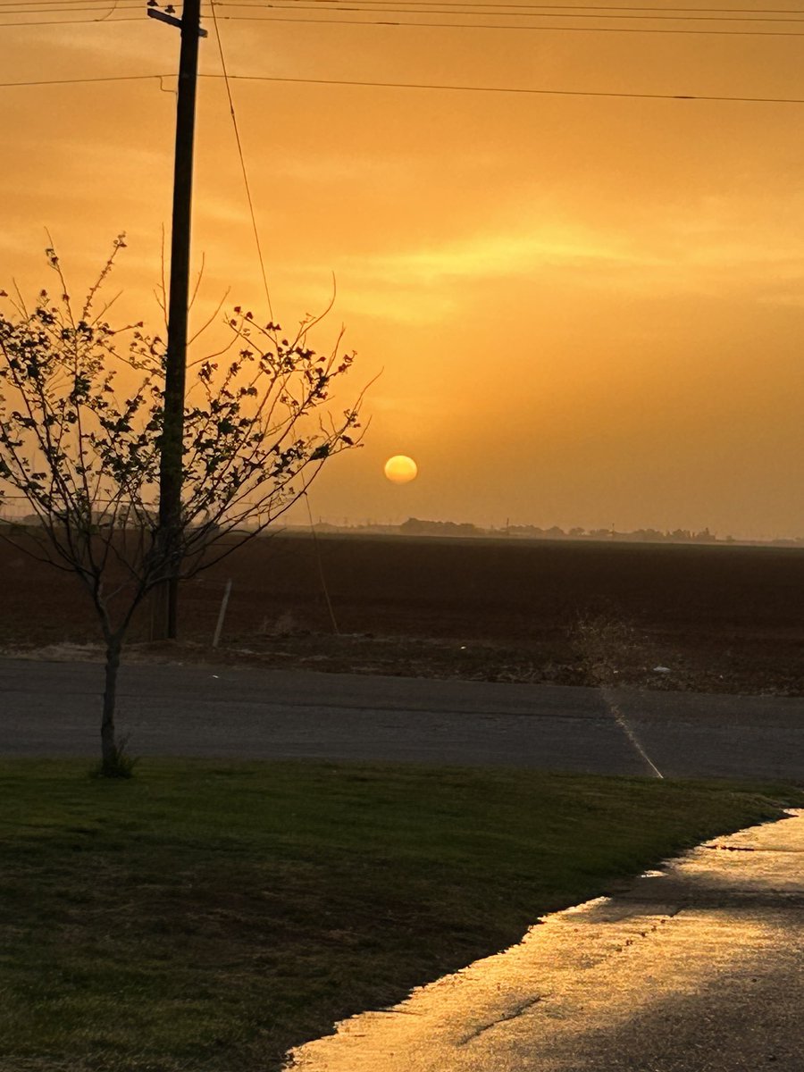 Prentice Fred tweet media