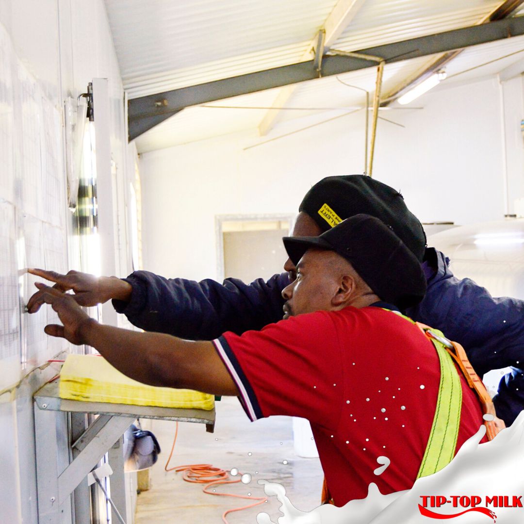 tiptop_milk's tweet photo. Did you know #TipTopMilk has an onsite #milktesting lab? 🥛 
At the #Moolab, #rawmilk is rigorously tested to ensure it is of the #highestquality &amp; safe for #humanconsumption at all times. 
Tip-Top Milk is here to support your #milklogistics needs! Email support@tiptopmilk.co.za https://t.co/IqhfRbZOnV