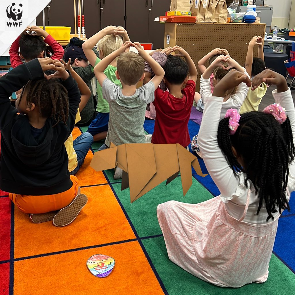 hansethlu's tweet photo. We learned so much about tigers and how to conserve them that we even grew a tiger tail. #WWFTogether I encourage educators to check out @WWF wild classroom units. They are so fun, engaging, cross-disciplinary, and educational units about how to help animals and our ecosystems. https://t.co/WwZjb3D8LW