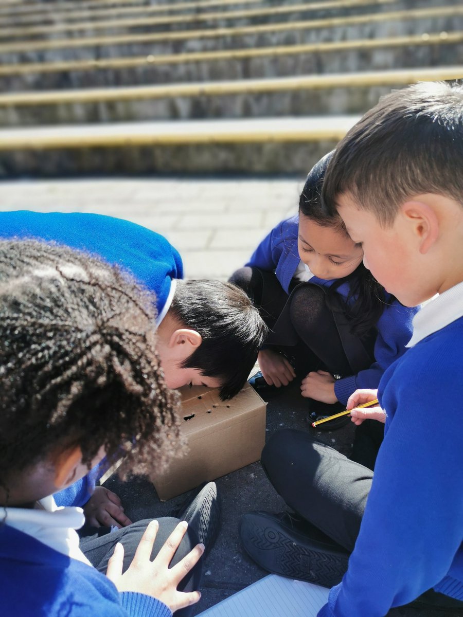 Oak Class tweet media