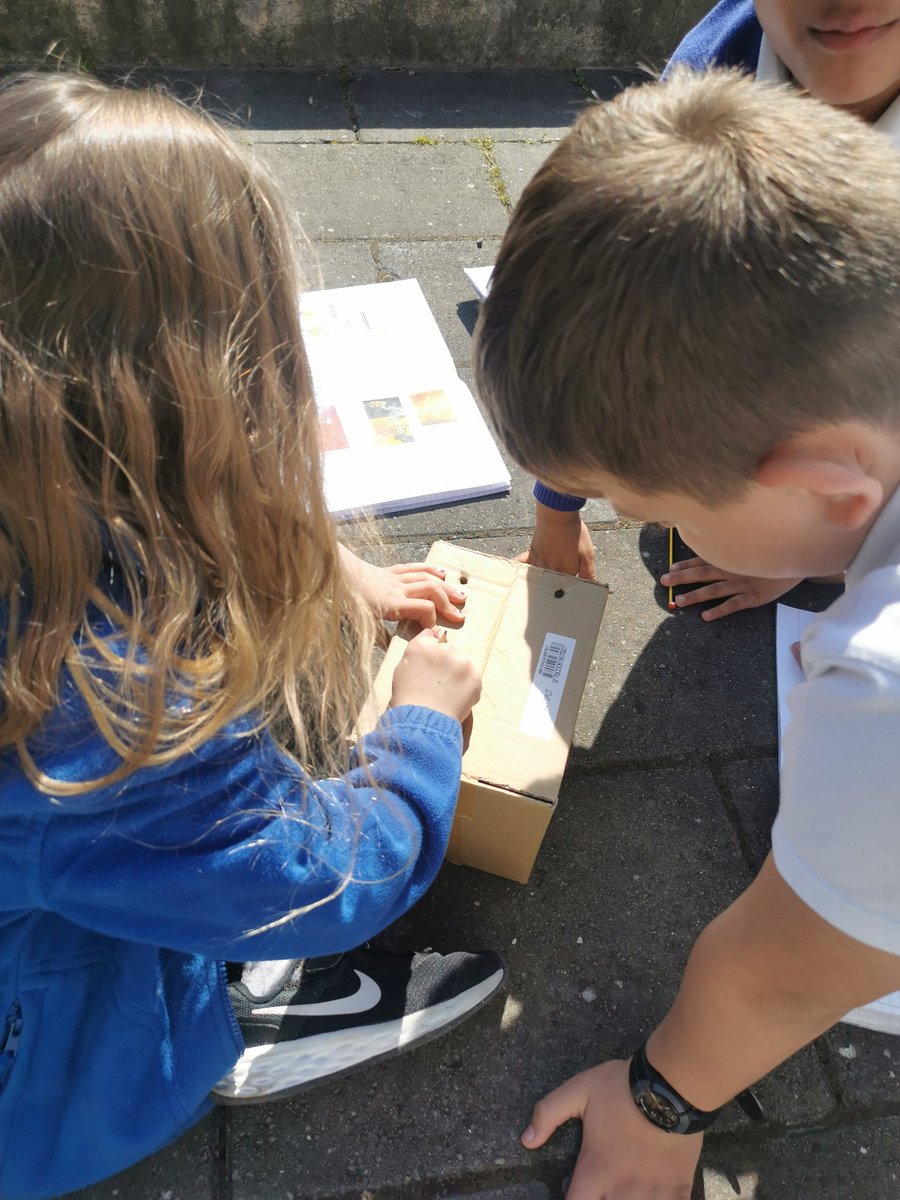 Oak Class tweet media