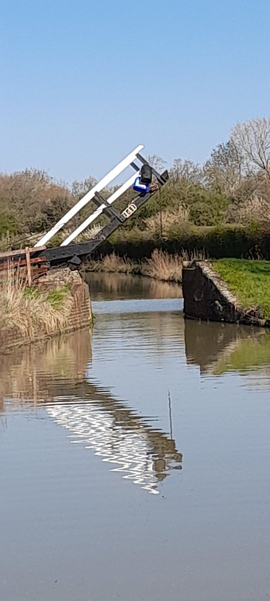 LadyW Joanna tweet media