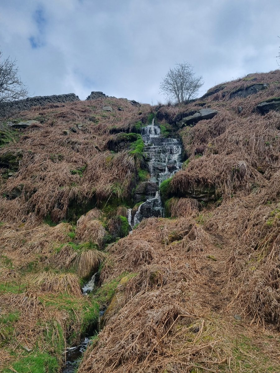 I recieved a call from 🚔 control room to assist a lady with a suspected broken collar bone.I located the lady with #what3words and ☎️ <a href="/YASCFR/">YAS CFRs</a> and the hub to pass on observations. Great way to utilise the PSO role and prevent an ambulance being called out 🚑🚓
#multiagency